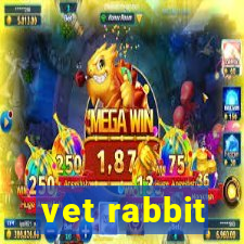 vet rabbit